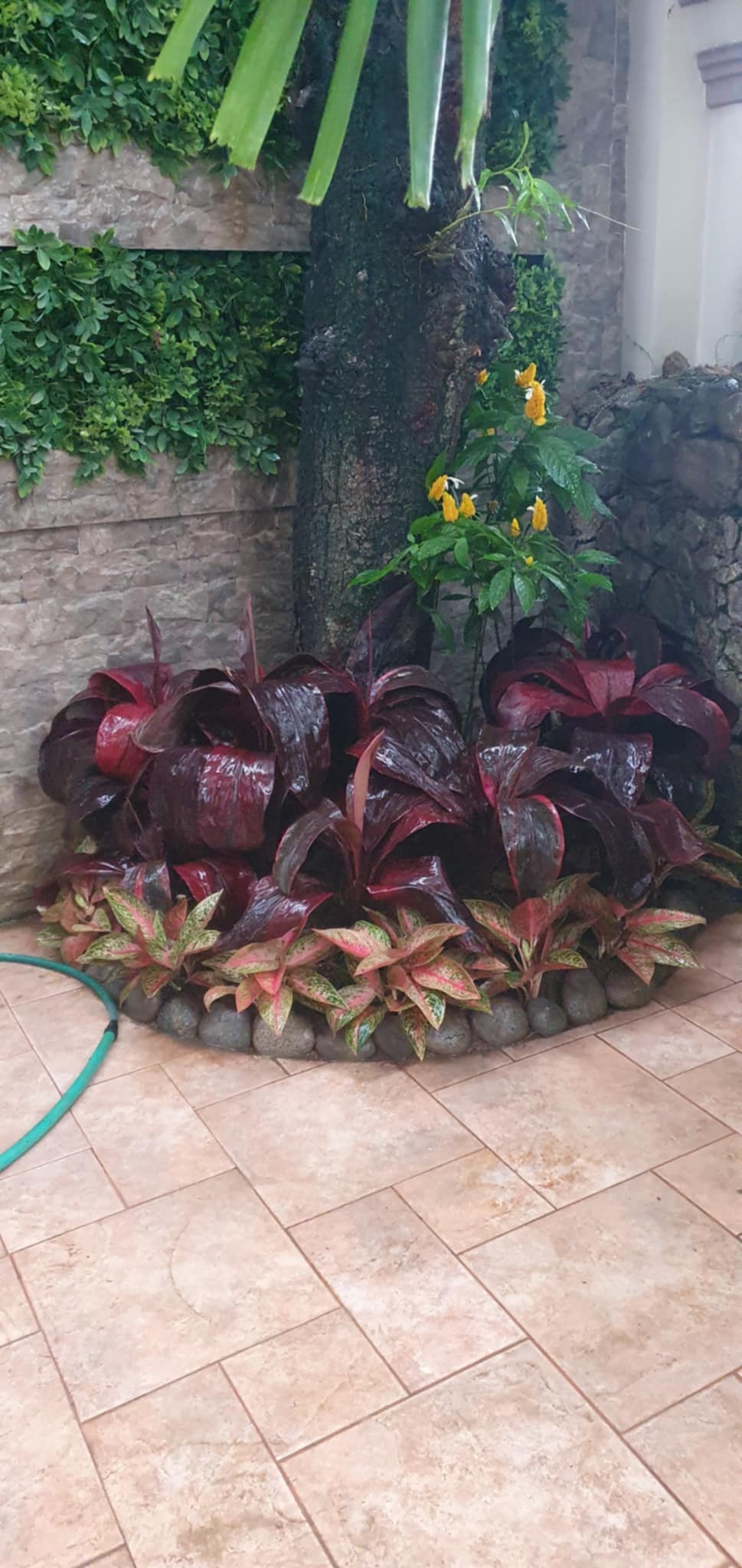 d63652ea 23c1 4edc 9334 3254bb967980